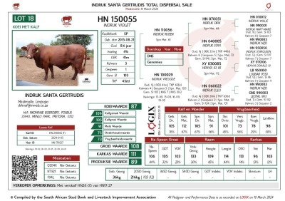 1+1X SANTA GERTRUDIS VIOLET FEMALE INDRUK SANTA GERTRUDIS