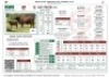1+1X SANTA GERTRUDIS EMBER FEMALE INDRUK SANTA GERTRUDIS - 2