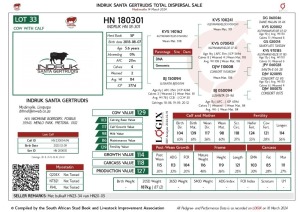 1+1X SANTA GERTRUDIS HN 18-301 COMMERCIAL FEMALE INDRUK SANTA GERTRUDIS