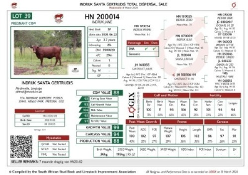 1X SANTA GERTRUDIS JANE COMMERCIAL FEMALE INDRUK SANTA GERTRUDIS
