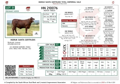 1X SANTA GERTRUDIS TERESA FEMALE INDRUK SANTA GERTRUDIS