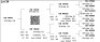 LOT 34 - OB 180011 SP - BONKA BONSMARA (PTY) LTD - 3