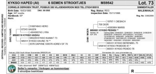 6X KYKSO HAPED (AI) SEMEN STROOITJIES