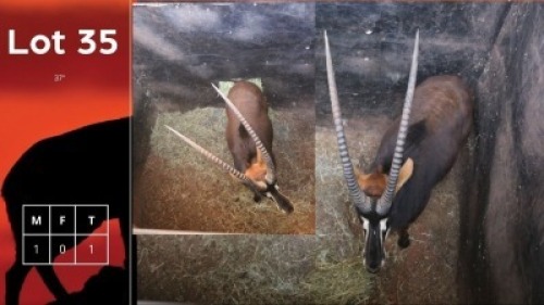 1X Swart wit pens M:1 Vtv Bemarking (Pty) Ltd