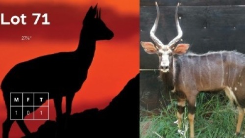 1X Njala M:1 Herma Jacobos