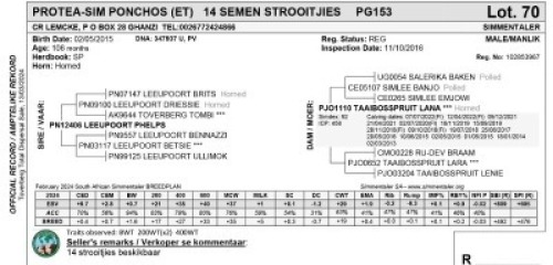 14X PROTEA-SIM PONCHOS (ET) SEMEN STROOITJIES