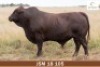 LOT 2 - JSM 180105 SP - MARAIS BONSMARAS