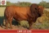 LOT 3 - LMR 150192 SP - BONKA BONSMARA (PTY) LTD - 2