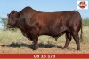 LOT 4 - OB 160173 SP - BONKA BONSMARA (PTY) LTD - 2