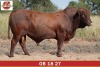 LOT 1 - OB 180027 P SP - BONKA BONSMARA (PTY) LTD - 2