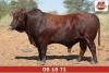 LOT 15 - OB 180071 SP - BONKA BONSMARA (PTY) LTD - 2