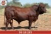 LOT 16 - OB 180193 SP - BONKA BONSMARA (PTY) LTD - 2