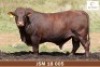 LOT 19 - JSM 180005 SP - MARAIS BONSMARAS