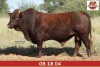 LOT 6 - OB 180004 SP - BONKA BONSMARA (PTY) LTD