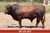 LOT 32 - OB 180203 SP - BONKA BONSMARA (PTY) LTD - 2