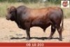 LOT 32 - OB 180203 SP - BONKA BONSMARA (PTY) LTD - 2