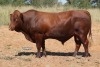 LOT 12 - OB 180184 SP - BONKA BONSMARA (PTY) LTD - 2