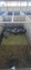 11X Blouwildebees F:7 (Per Piece to take the lot/Per stuk om lot te neem) - 2