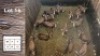 17X Blesbok M:17 (Per Piece to take the lot/Per stuk om lot te neem)