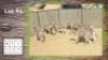 10X Zebra (Per Piece to take the lot/Per stuk om lot te neem)