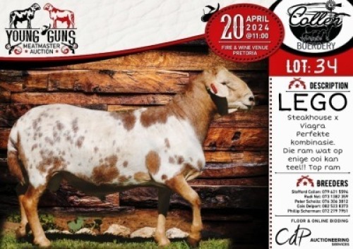 1X MEATMASTER RAM - LEGO COLLEN BOERDERY