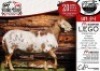 1X MEATMASTER RAM - LEGO COLLEN BOERDERY