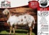 1X MEATMASTER RAM - LEGO COLLEN BOERDERY - 3