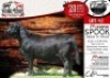 1X MEATMASTER RAM - SPOOK COLLEN BOERDERY - 2