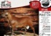 1X MEATMASTER RAM - RED OX COLLEN BOERDERY - 2