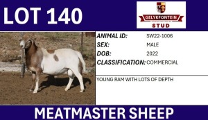 1X MEATMASTER COMMERCIAL RAM