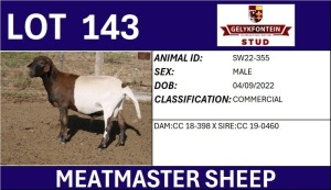 1X MEATMASTER COMMERCIAL RAM