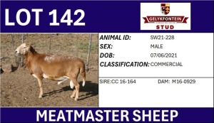 1X MEATMASTER COMMERCIAL RAM