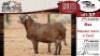 1X MEATMASTER RAM VREDE MEATMASTER - 2