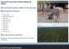 LOT 1 - Bakstaan Game Lodge - 1959.9739 HA &ndash; Musina/Louis Trichardt, Limpopo Province - 6
