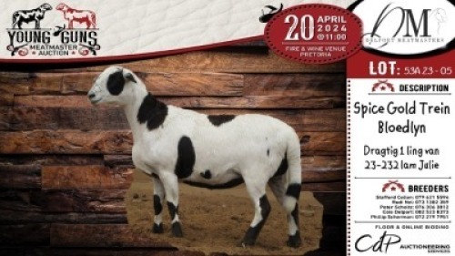 2X MEATMASTER EWE DELPORT MEATMASTERS