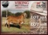 1X MEATMASTER SEMEN COLLEN BOERDERY