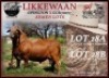 1X MEATMASTER SEMEN COLLEN BOERDERY