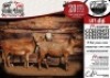3X MEATMASTER EWE COLLEN BOERDERY