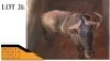 1X BLOUWILDEBEES M:1 FERPA (PTY) LTD (Per Piece to take the lot/Per stuk om lot te neem)