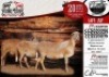 3X MEATMASTER EWE COLLEN BOERDERY