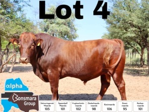 1x BONSMARA BULL PC BONSMARAS PCD 200143