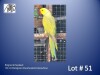 1-0 '22 Ringneck Parakeet: Darkgreen Clearheaded-fallow/blue - Jaco Rossouw