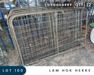 12X LAM HOK HEKKE MAROELASFONTEIN BOERDERY