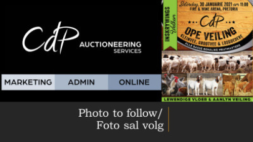 LOT 20 - 1 X (M)&nbsp;GOEDHEID EN GUNS BOERDERY / R. LLOYD