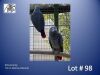 1-1 '21 African Grey: Normal x Normal - Birds Haven