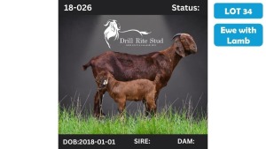 1+1X KALAHARI RED DOE & KID LOURENS V. NIEKERK