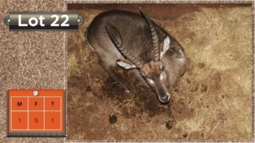 1X WATERBOK M:1