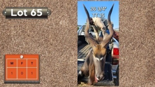 1X NJALA 26&frac34;"; T-T: 15" M:1