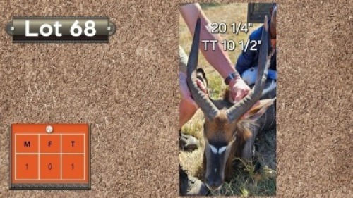 1X NJALA 20&frac12;"; T-T: 10&frac12;" M:1