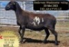 LOT 2 CC 18 0120 - COLLETT FARMING